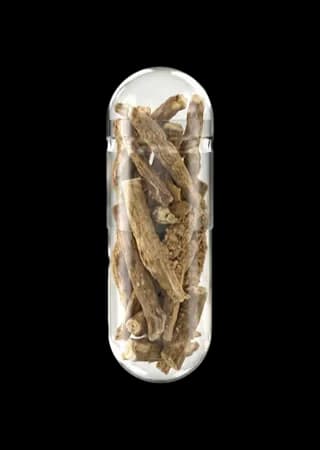 Ashwagandha