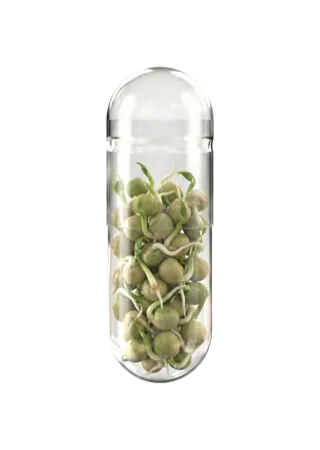 Gekeimtes Erbsensamenextrakt (AnaGain™ Nu)